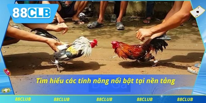 Đá Gà 88CLB 3 Tìm hiểu các tính năng nổi bật tại nền tảng